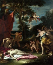 212/ricci, sebastiano - the meeting of bacchus and ariadne